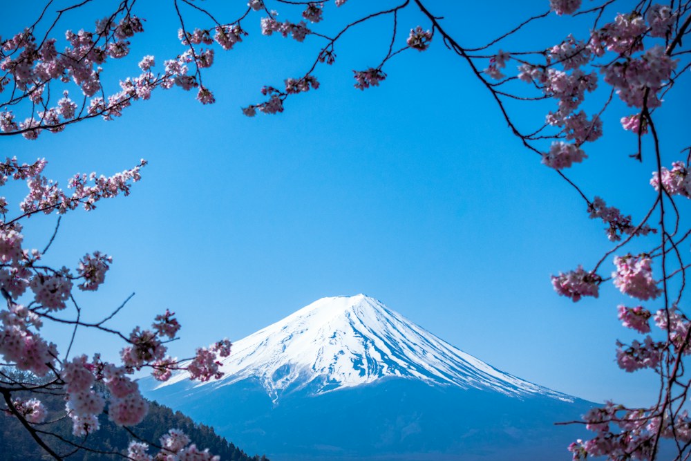 Kawaguchiko
